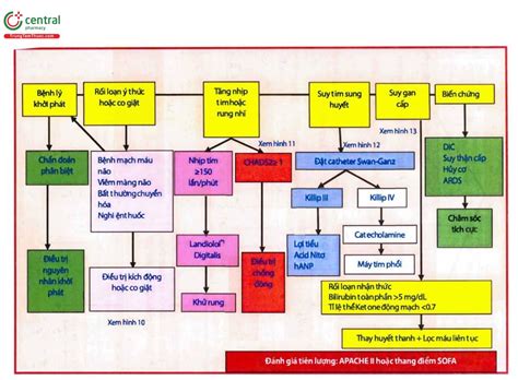 Bão Giáp Tý - Một Cuộc Khủng Hoảng Dân Số và Sự Trỗi Dậy của Nghệ Thuật ở Ý